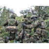 Брюки Combat Lightweight Woodland DP армии Великобритании
